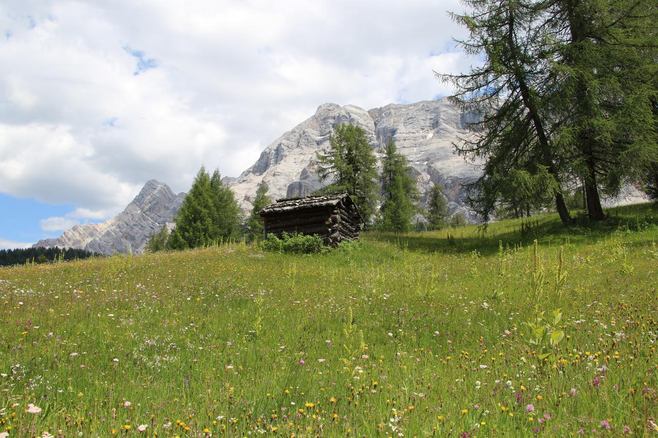 Hotel Alpenrose Dolomites Ла-Валле Экстерьер фото