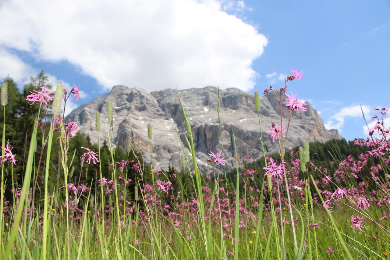 Hotel Alpenrose Dolomites Ла-Валле Экстерьер фото